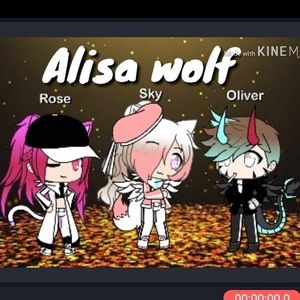 Meet your Posher, Alisa